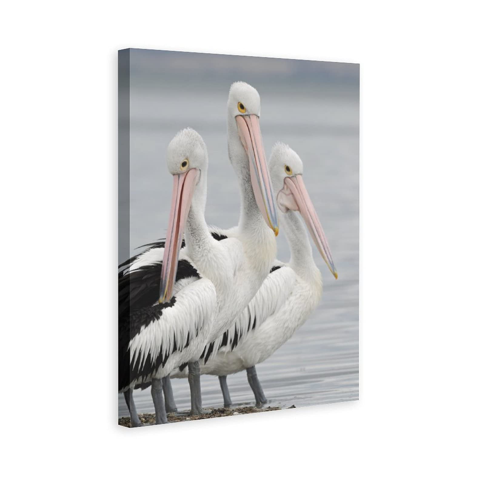 Great White Pelican & Toucan Canvas Wall Art - Vibrant Bird Painting for Living Room, Bedroom & Office Decor - Perfect Gift for Nature Lovers & Home Decoration