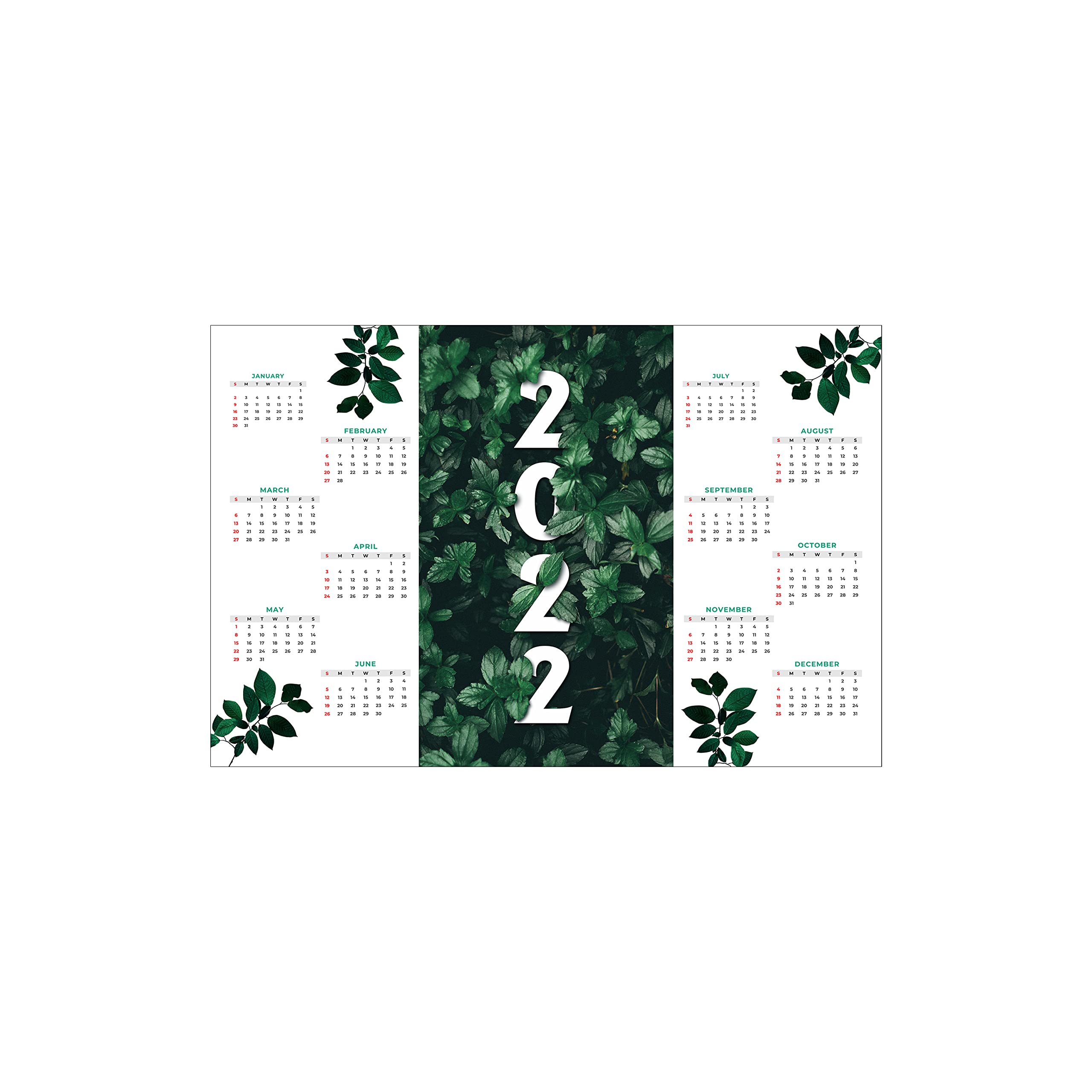 BANNER BUZZ 2022 Yearly Wall Calendar - Horizontal Nature Poster Calendar (January to December 2022) - 17.5