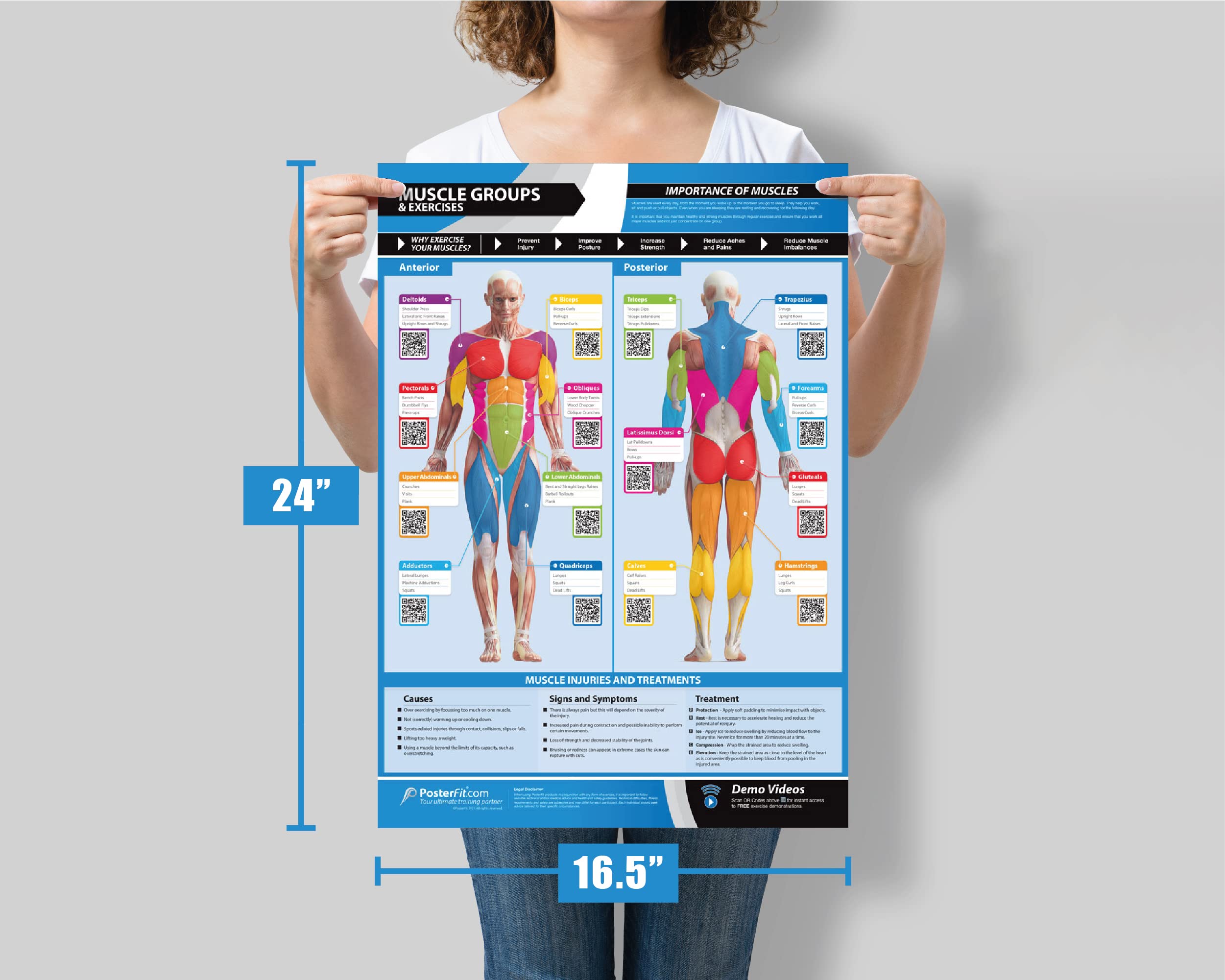 Home Gym Workout Posters - Set of 20 Laminated Exercise Charts with Muscle Group Guide (24