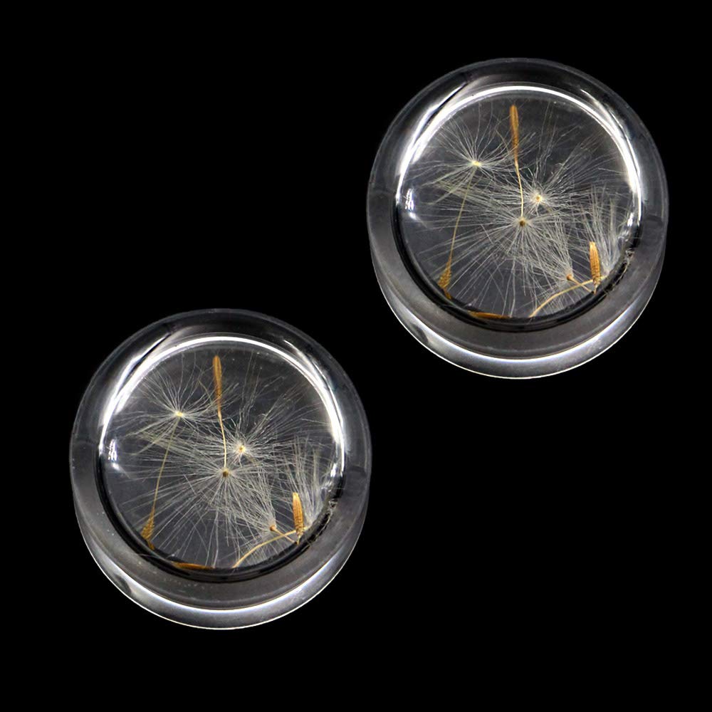 Dandelion Seed & Sprout Ear Plugs with Real Seeds - Double Flare Saddle Ear Tunnels - 8 Size Options - Perfect for Stretching, Piercing Jewelry & Boho Style