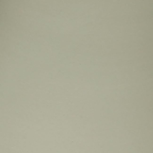 Slate Gray