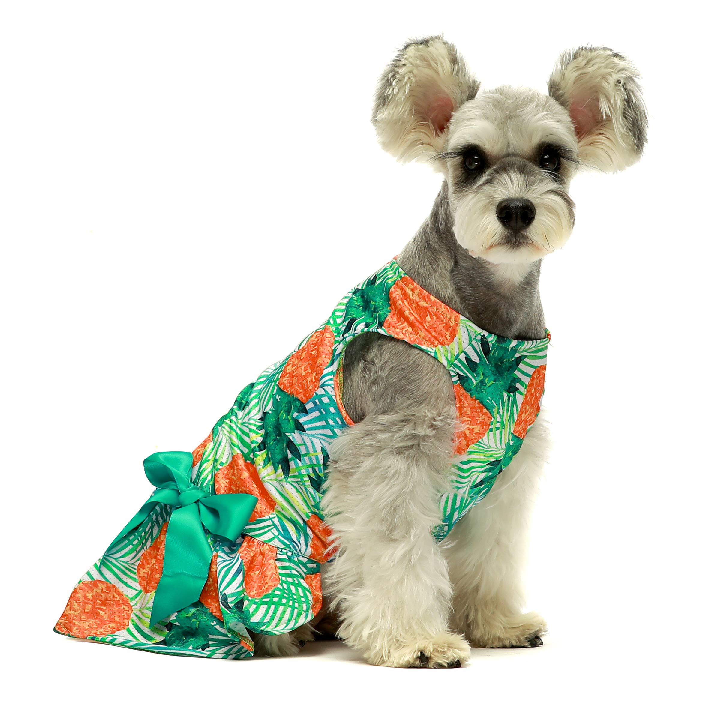 Fitwarm Pineapple Print Hawaiian Dog Dress - Summer Pet Clothes for Small Dogs & Cats - Tropical Luau Outfit in Lime Green (Size Large) - Perfect for Beach Parties & Summer Vacations