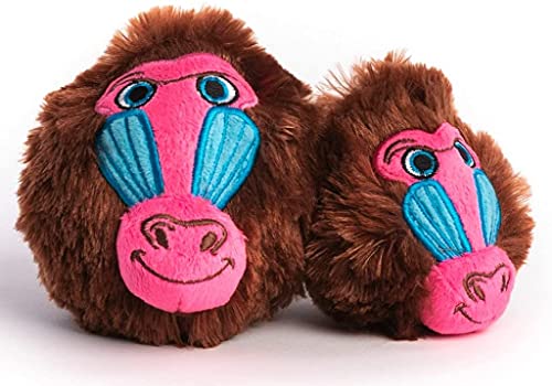 Baboon