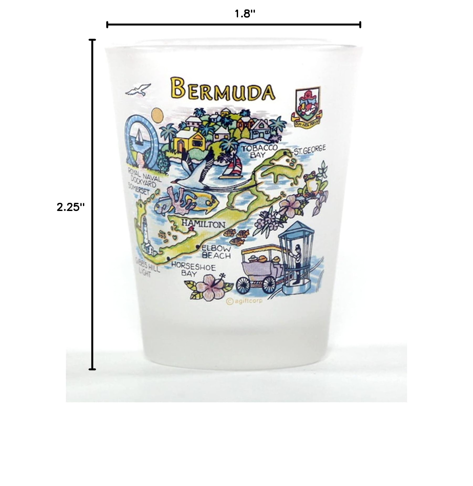 Premium Bermuda Caribbean Boxed Shot Glass Set (Set of 2) - Perfect for Cocktails, Parties & Tropical Themed Events