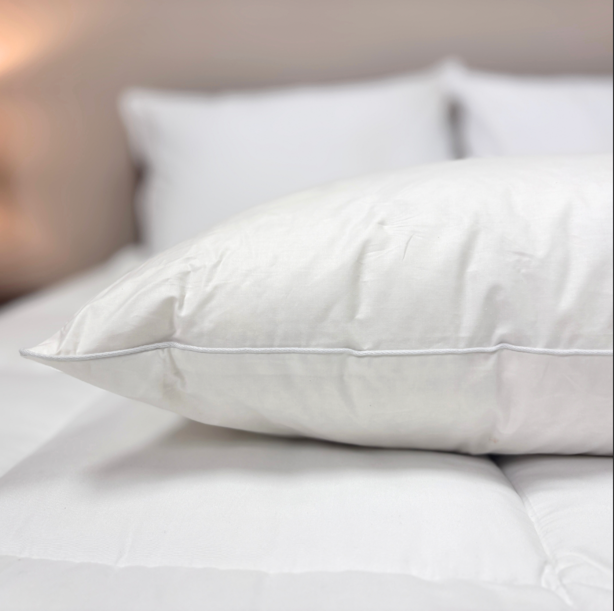 Premium Downlite 75/25 Waterfowl Feather & White Down Pillow for Side Sleepers - Ultra Soft Hypoallergenic Bed Pillow for Neck Support & Comfort