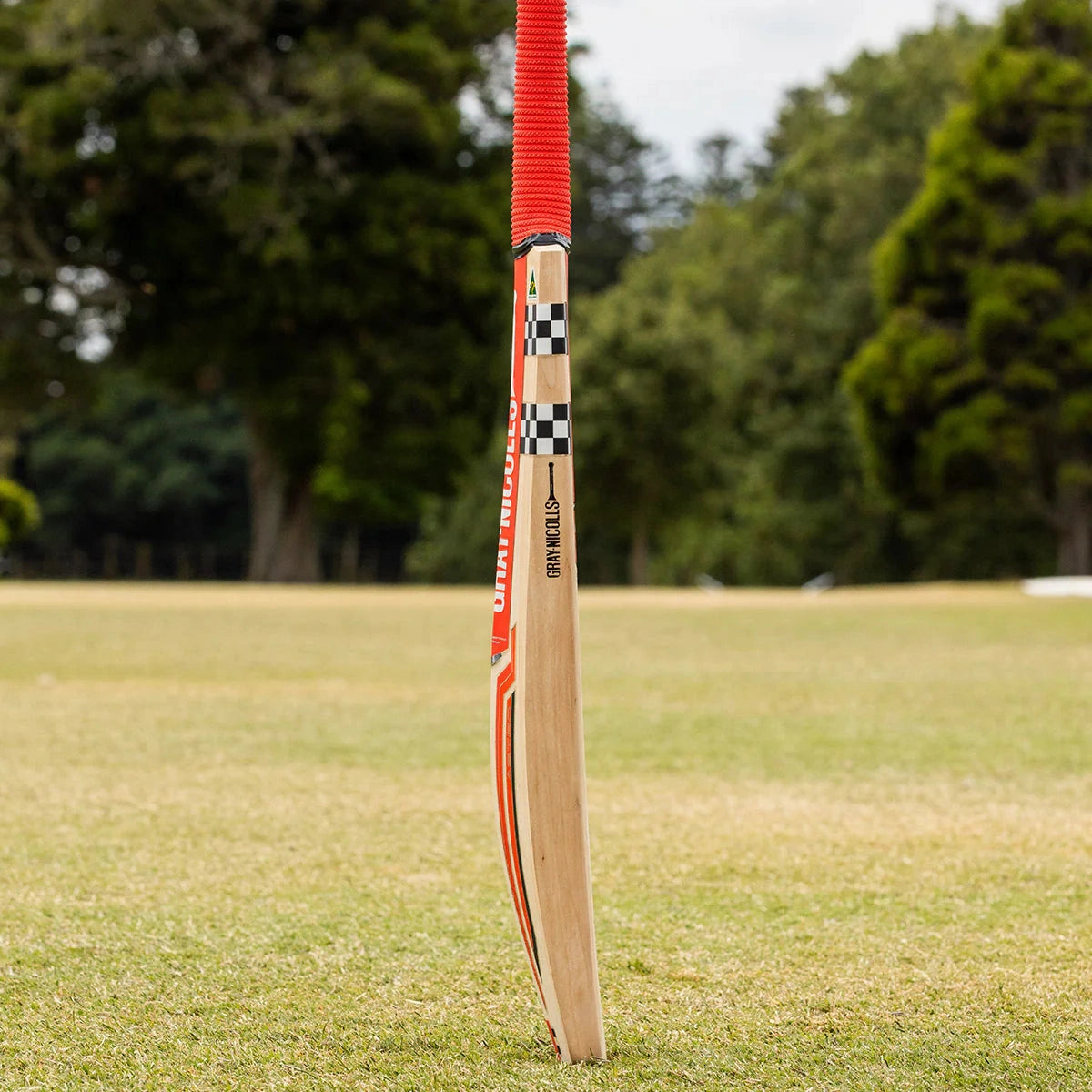 GN Astro 800 Junior Cricket Bat - Lightweight English Willow Cricket Bat for Kids & Youth | Perfect for Practice, Training & Junior Cricket Matches
