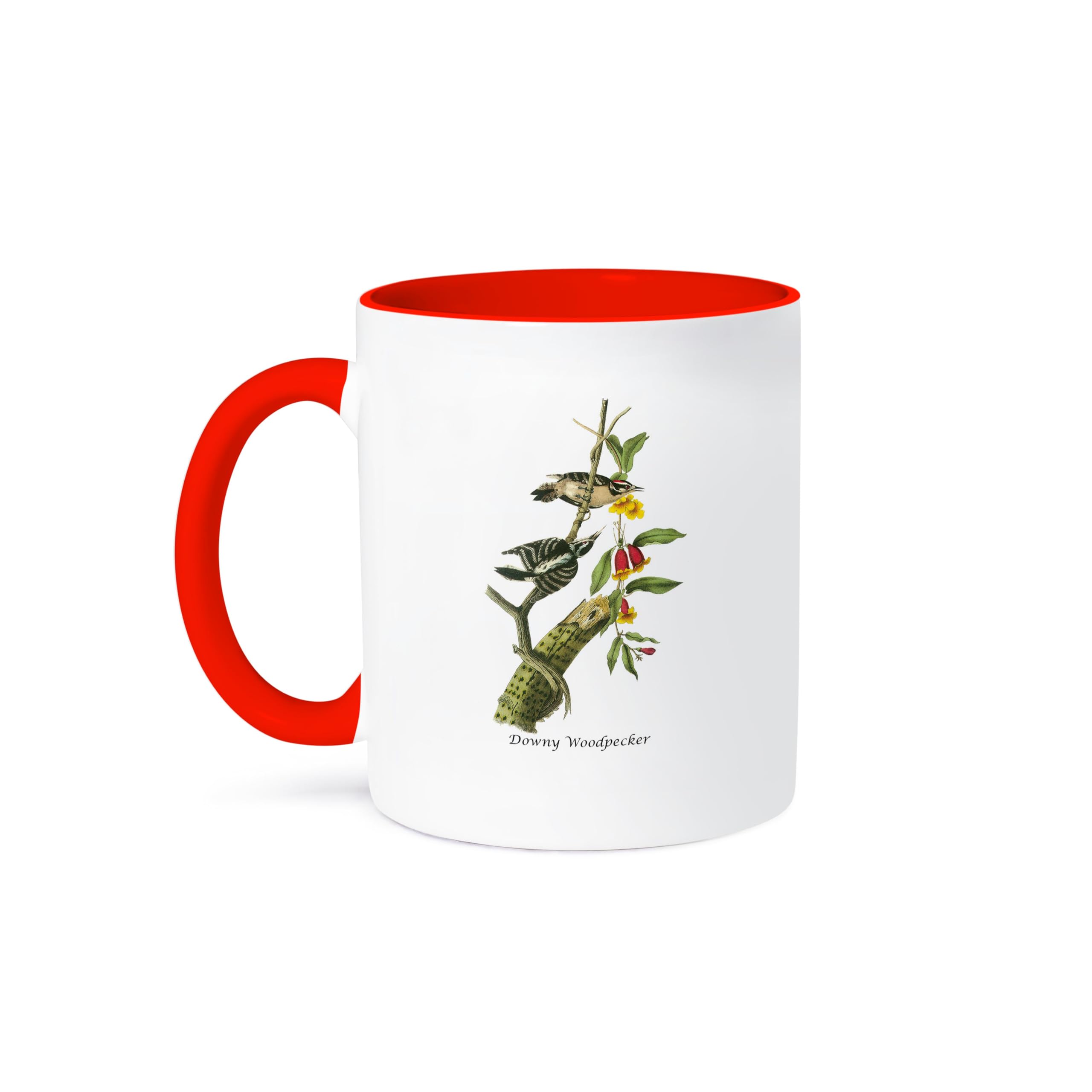 3dRose 11oz Coffee Mug - Downy Woodpecker by John James Audubon | John James Audubon Collection | Funny Novelty Gift for Bird Lovers & Coffee Enthusiasts | Perfect for Home, Office or Camping Use