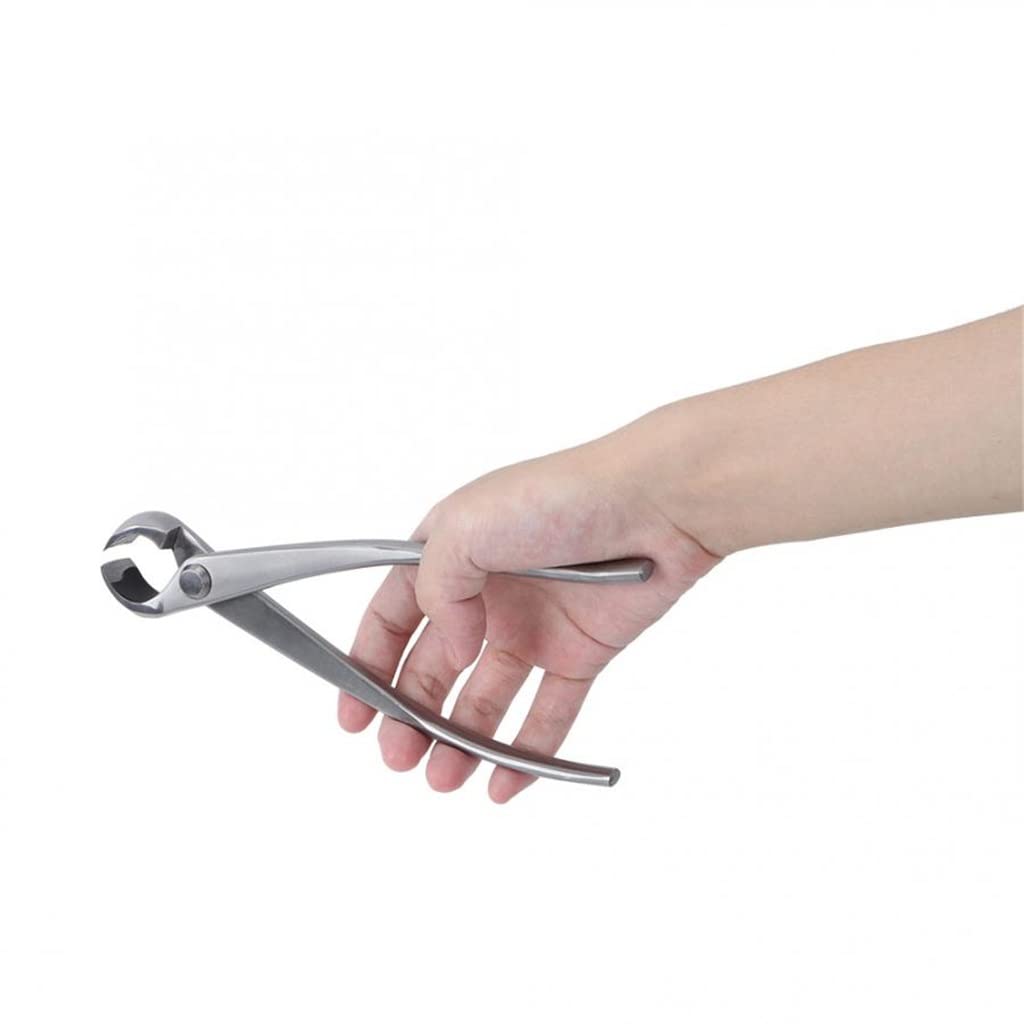 180mm Stainless Steel Knob Cutter - Professional Garden Bonsai Scissors & Tree Pruning Shears for Gardening, Landscaping, and Plant Care