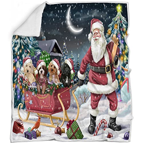 Santa Sled