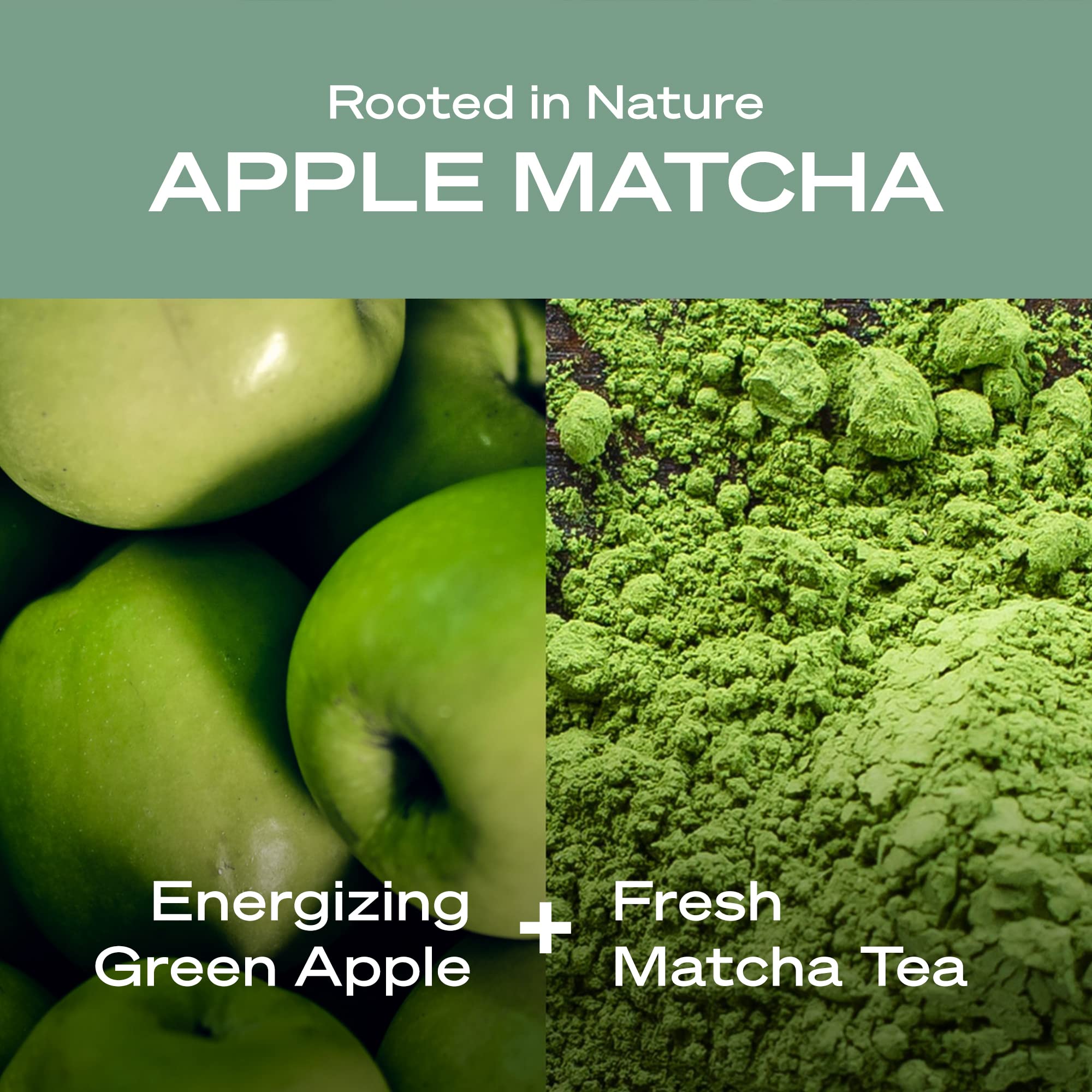 HEY HUMANS Apple Matcha Moisturizing Body Wash with Natural Ingredients & Jojoba Oil | Vegan, Sulfate-Free Shower Gel for Women & Men | Hydrating, Eco-Friendly, Recyclable Bottle (14 fl oz, Pack of 3) | Perfect for Daily Shower & Sensitive Skin Care