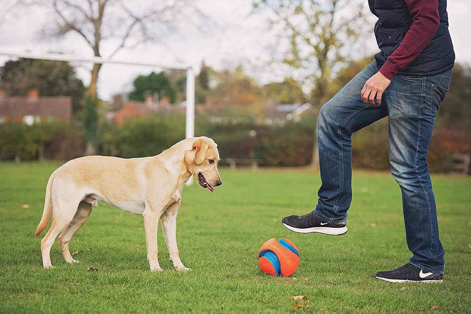 LG Kick Fetch Interactive Dog Toy - Durable Chew-Resistant Ball for Outdoor Play & Training - Perfect for Active Dogs & Puppies