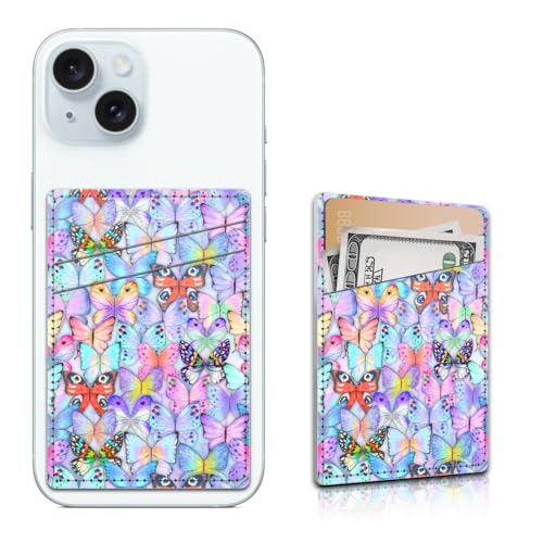 Colorful Butterfly