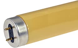 Technical Precision F20T12/GOLD Fluorescent Light Bulb - Energy Efficient Replacement for Batteries & Bulbs | Perfect for Home, Office & Commercial Lighting