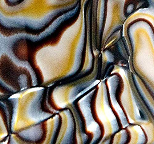 Silver Shell(Onyx)