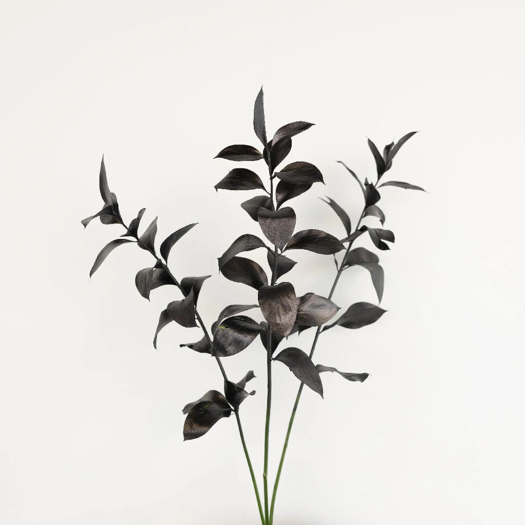 Premium Black Tinted Ruscus Greenery - Artificial Faux Eucalyptus Leaves for Wedding Centerpieces, Home Decor & Floral Arrangements