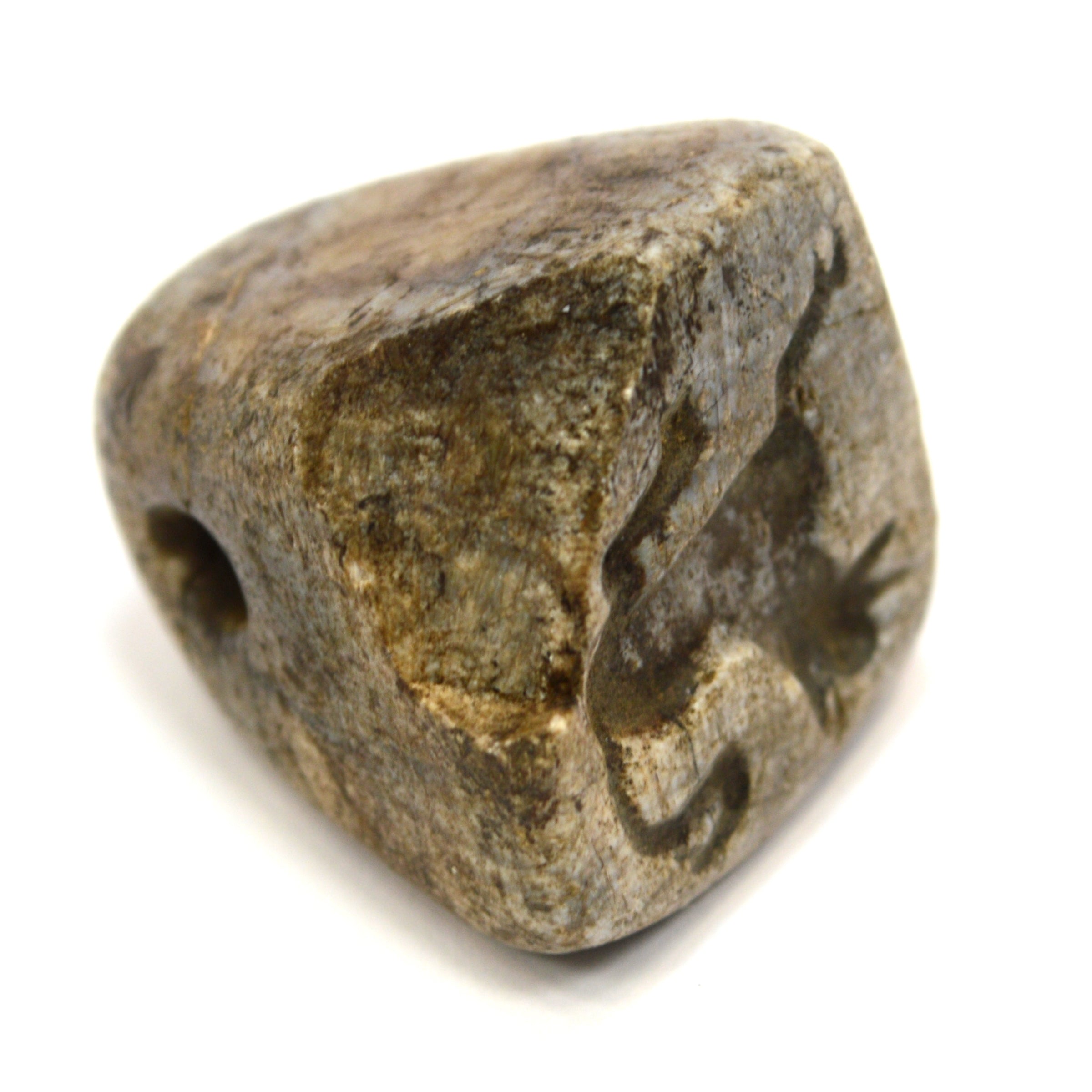 Ancient Near East Steatite Conoid Seal Stamp - Authentic Tel Megiddo Artifact with Dog/Cat/Hyena Animal Carving | Perfect for Archaeology Collectors, History Enthusiasts & Ancient Artifact Displays