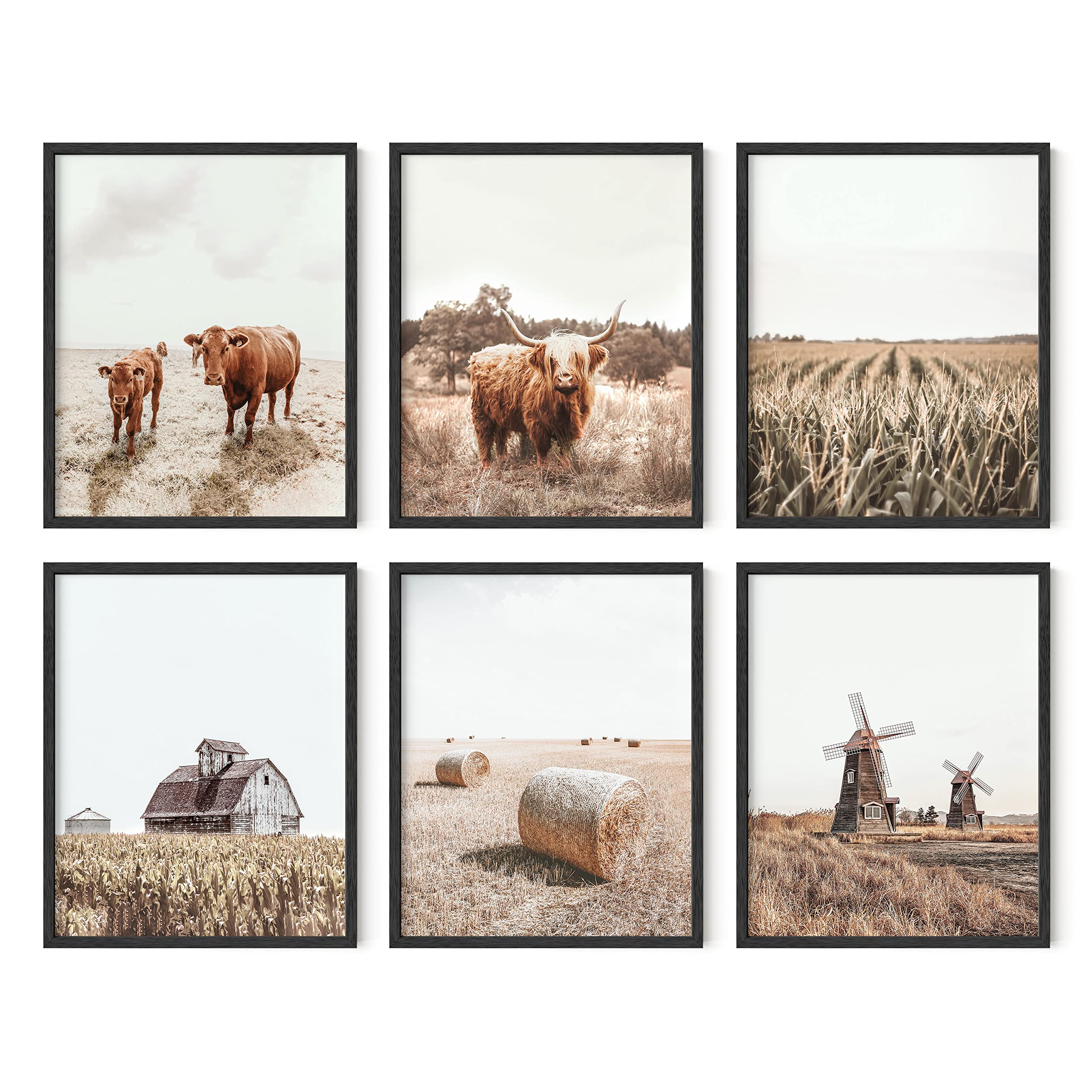 HAUS AND HUES Farmhouse Cow Wall Art Set of 6 - Black Framed 8x10 Barn Pictures, Animal Wall Decor for Living Room, Kitchen & Country Style Home