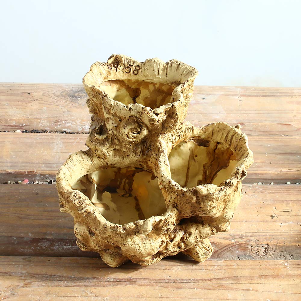 DOITOOL Succulent Planter - Simulation Tree Root Bonsai Pot, Small Desktop Plant Container for Home & Office Decor, Perfect for Succulents, Cacti, and Air Plants