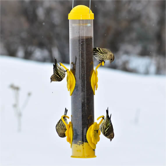 Bright Yellow Select A Finch Tube Bird Feeder - Attract Finches to Your Garden or Backyard - Perfect for Outdoor Bird Watching & Nature Lovers