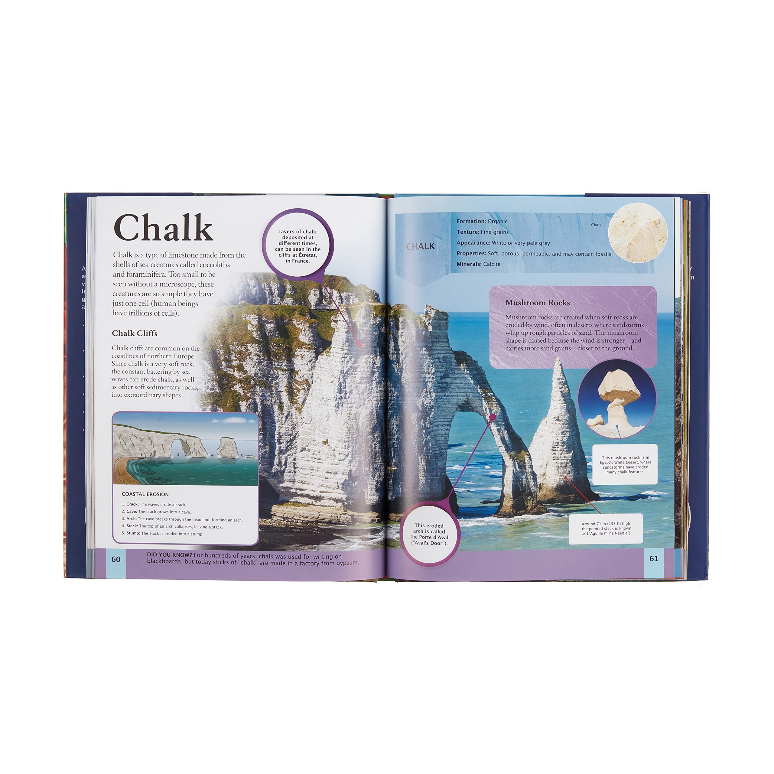 Arcturus Children's Reference Library: Rocks & Fossils Encyclopedia for Kids - Perfect for Homeschooling & Science Learning