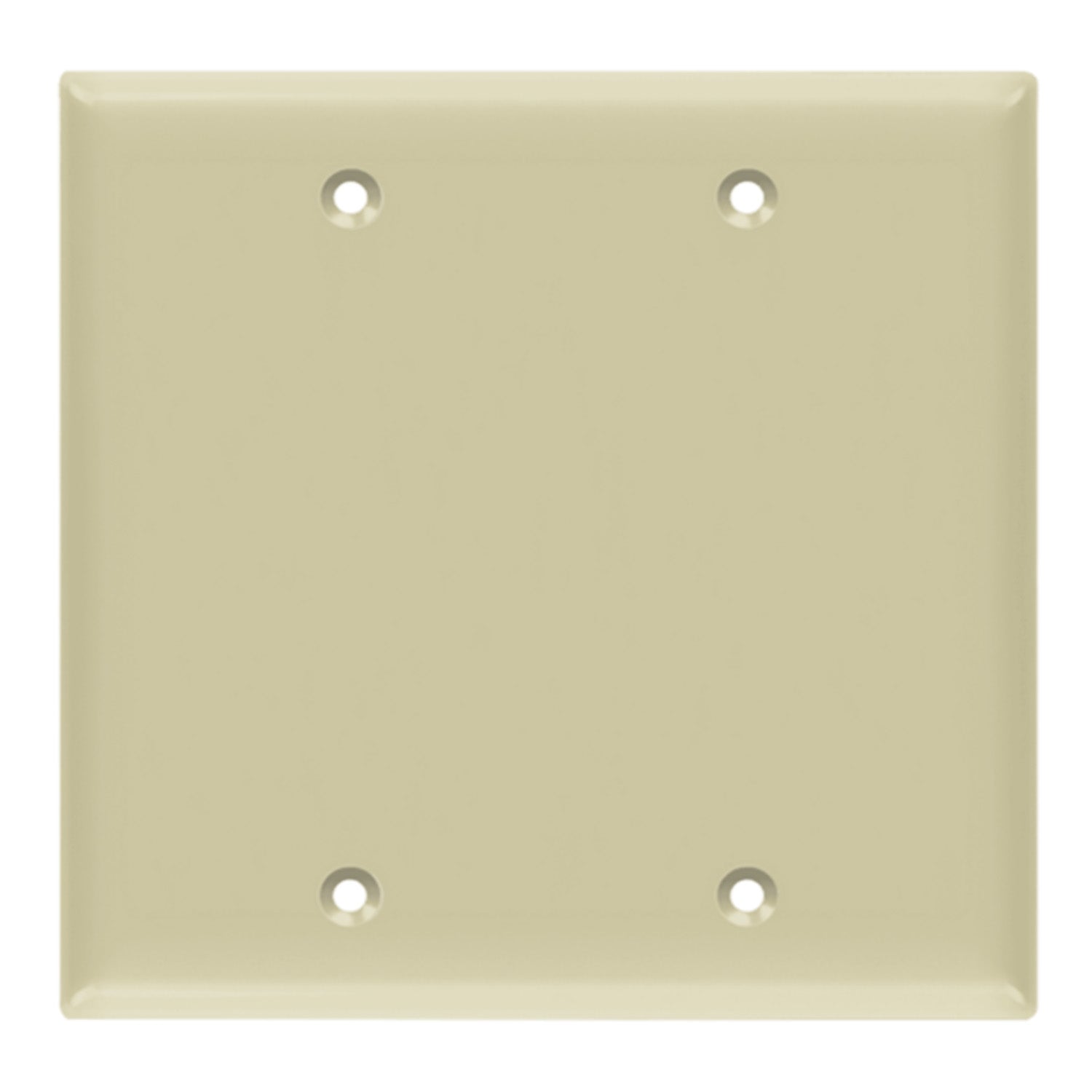 2 Gang Blank Wall Plate, Ivory - Standard Size for Electrical Outlet Covers, Smooth Finish - Perfect for Home, Office & Renovation Projects