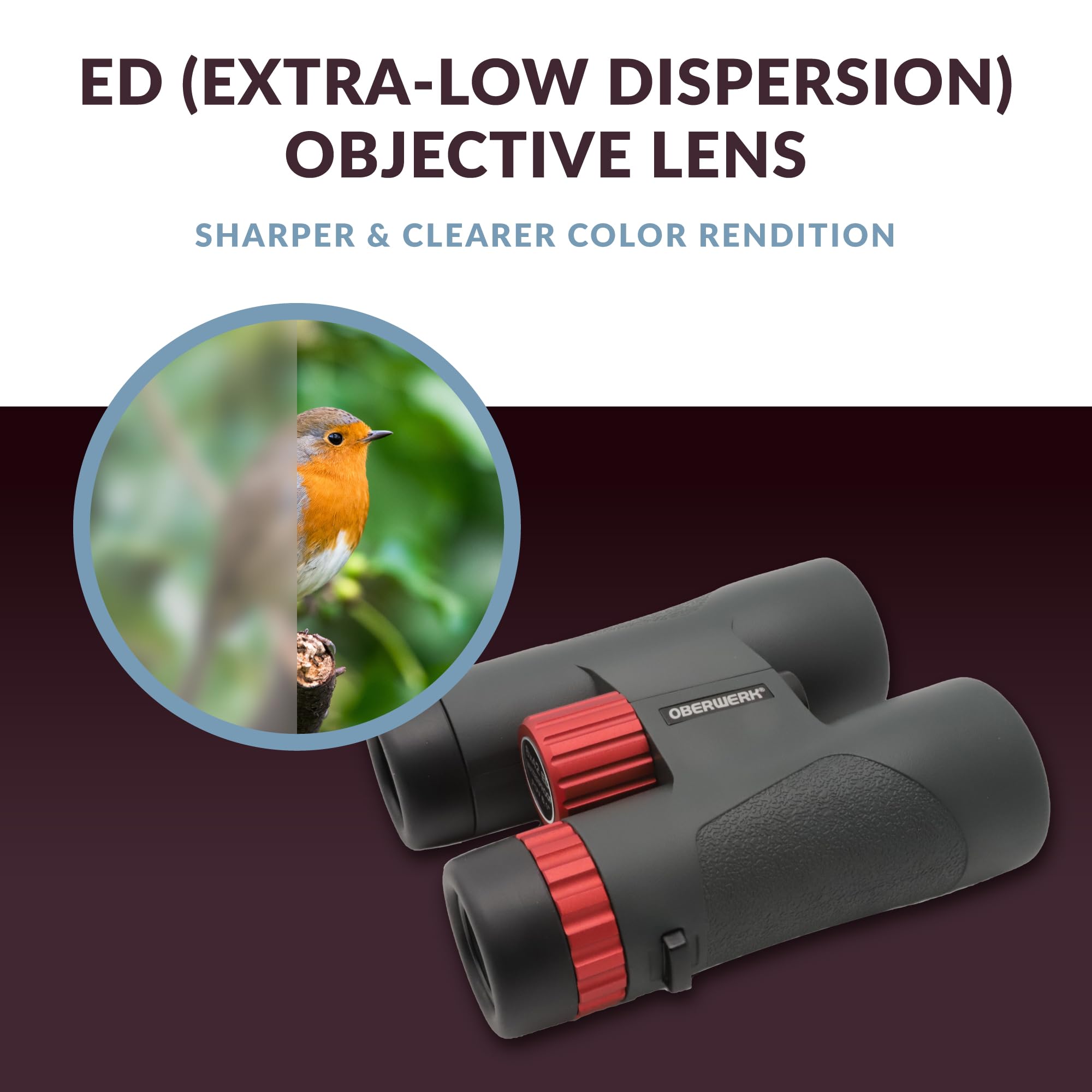 10x42 Sport ED Binoculars - Professional High Power Binoculars for Adults, Hiking, Hunting & Bird Watching | Waterproof & Fogproof for Outdoor Adventures