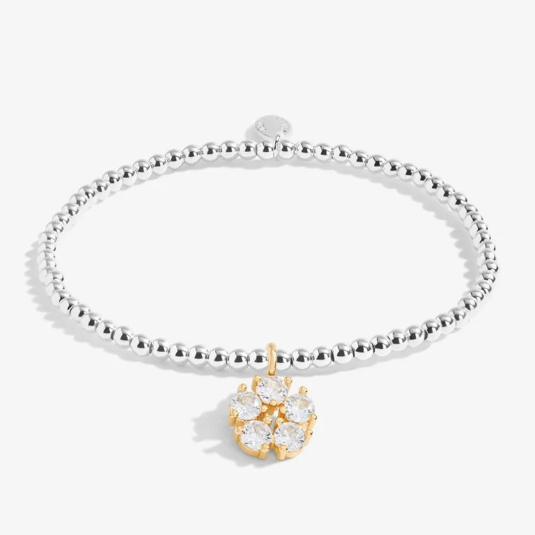 Joma Jewellery Bracelet - A Little Sorry You're Leaving Gift for Friends, Farewell Present, Women's Friendship Bracelet - Perfect for Goodbye Parties, Long Distance Relationships & Thoughtful Gifts