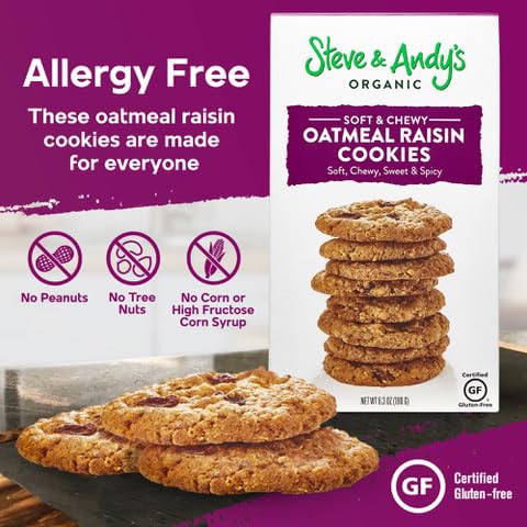 Steve & Andy’s Organic Gluten-Free Soft & Chewy Oatmeal Raisin Cookies - Non-GMO, Ancient Grains, Healthy Snack - 3 Pack (Perfect for Lunchboxes, Office Snacks & Vegan Diets)