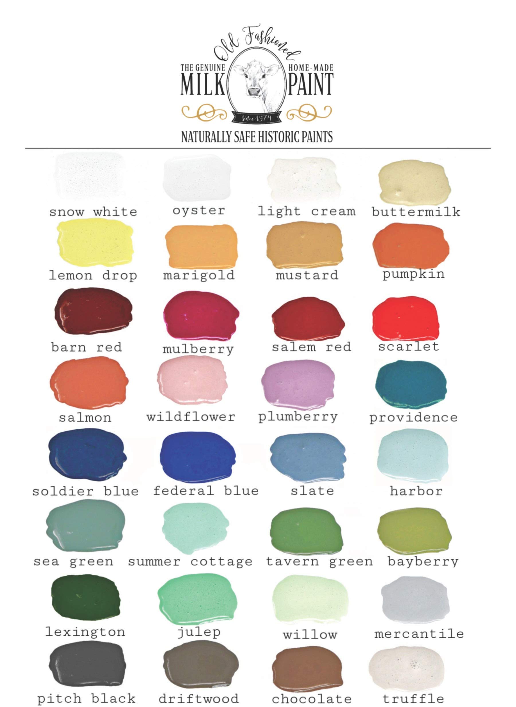 Non-VOC Powder Paint - 1 Pint, Soldier Blue - Eco-Friendly Coating for Metal, Wood & DIY Projects - Perfect for Home Decor, Furniture & Crafts