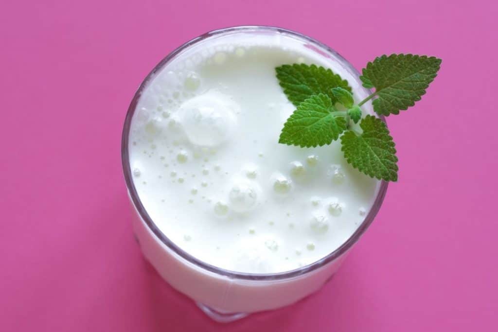 Authentic Ayran Yogurt Drink - Refreshing 500ml Bottle | Perfect for Summer BBQs, Picnics & Healthy Hydration