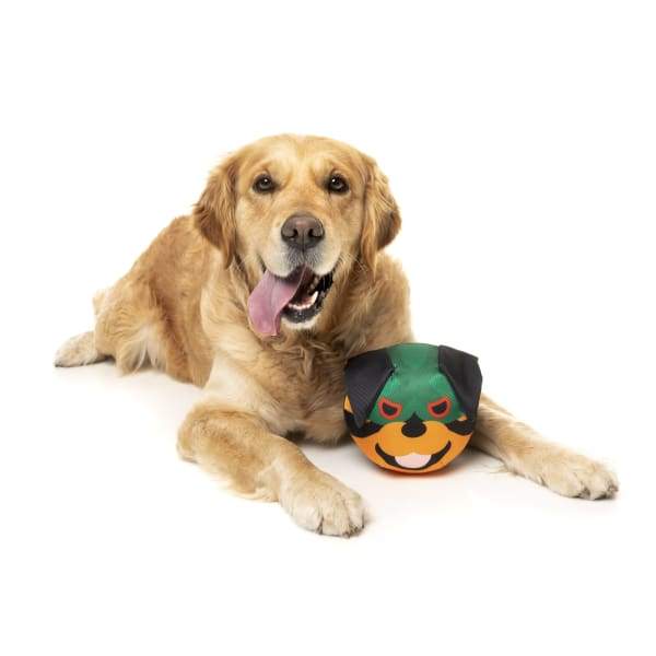 Fuzzyard Doggoforce Rumble Dog Toy - Interactive Plush Chew Toy for Small & Medium Dogs, Durable & Squeaky - Perfect for Indoor Play, Training & Bonding Time (15% OFF)