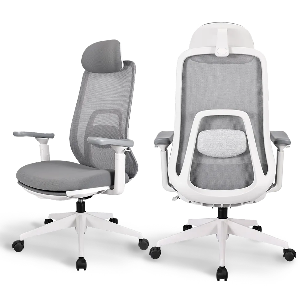 Pluto Ergonomic Office Chair - Adjustable Lumbar Support & Breathable Mesh Back - Perfect for Home Office, Gaming & Workspace
