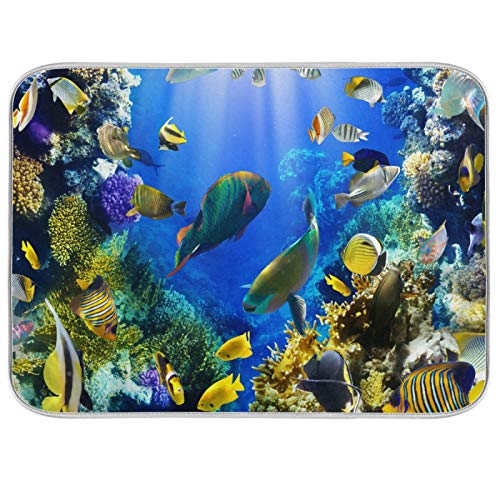 Ocean Fish