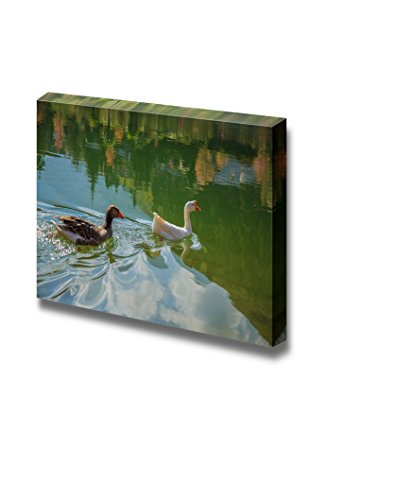 Geese