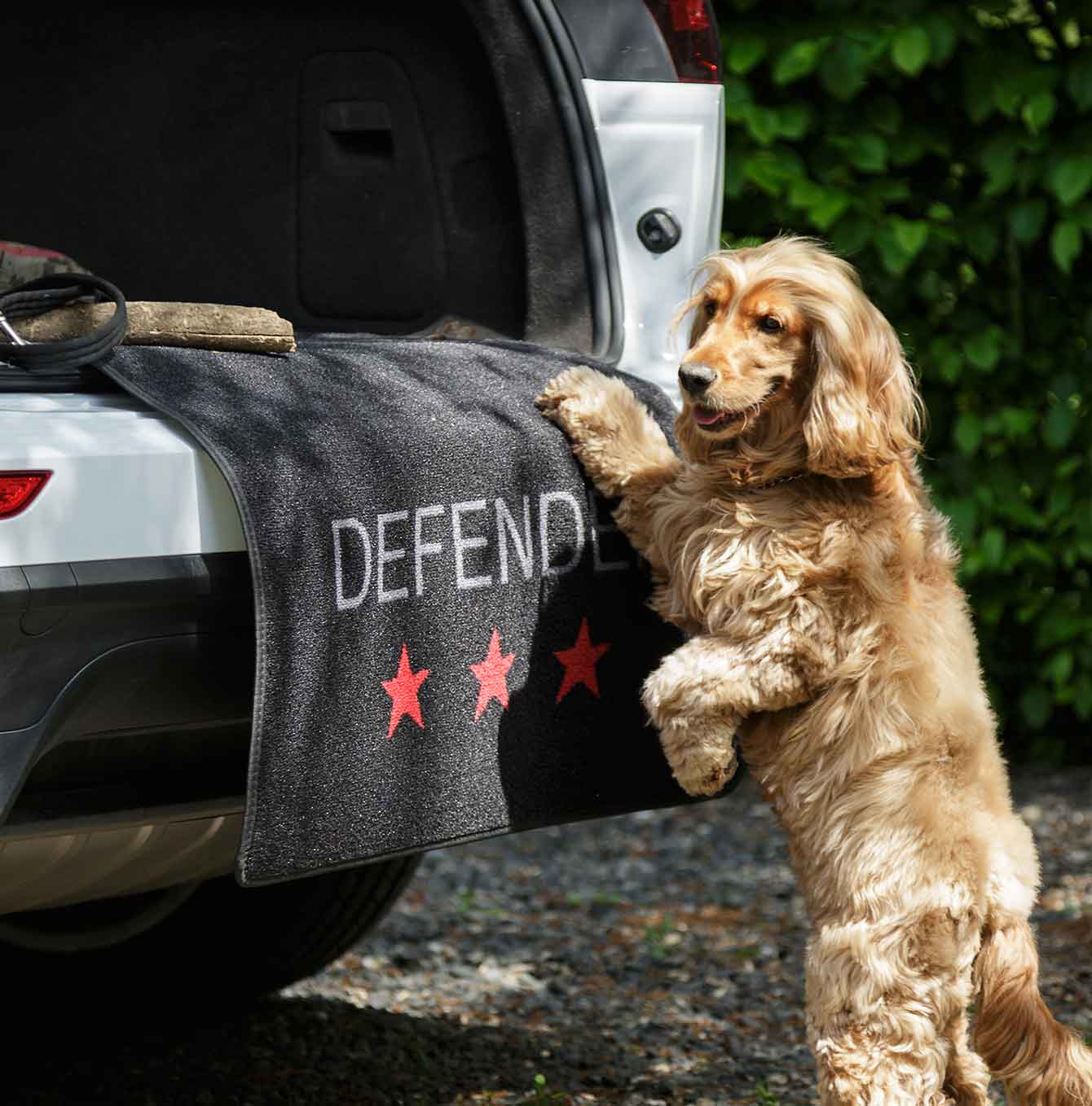 Pet Rebellion Car Defender - Waterproof & Non-Slip Car Seat Cover for Dogs, Universal Fit for Most Vehicles - Perfect for Travel, Adventure & Daily Commute