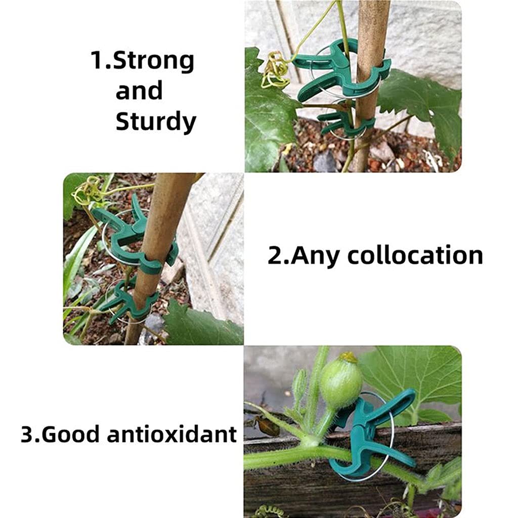 100PCS Plant Support Clips - Garden Flower Stem Clips for Orchids, Vines & Grafting - Heavy Duty Plant Stake Connectors for Outdoor Gardening & Greenhouse Use