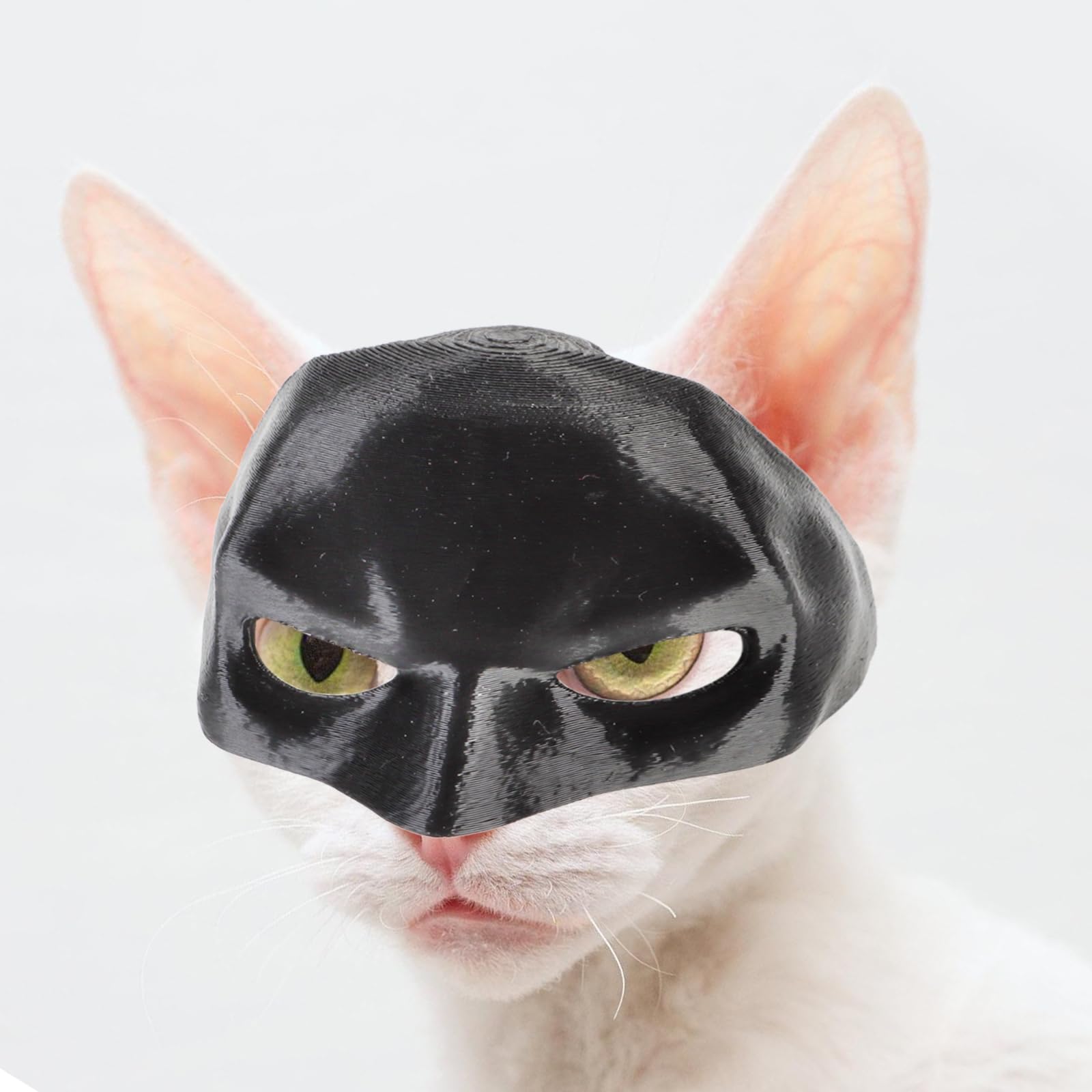 Funny Bat Mask for Cats - Cute Halloween Costume Accessory for Pets | Perfect for Halloween Parties, Dress-Up & Photo Shoots