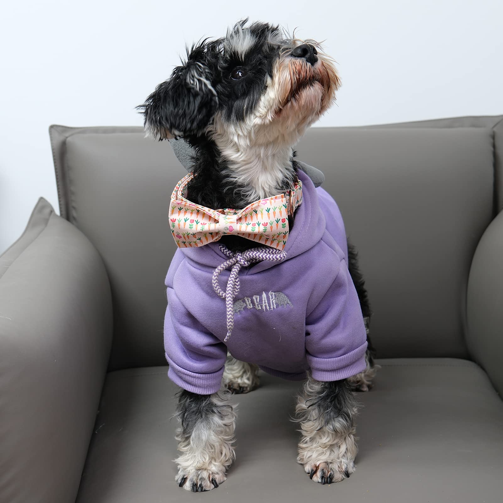 MR. CHUBBYFACE Easter Dog Collar - Adjustable Carrot Design with Bow Tie for Small, Medium & Large Dogs | Perfect for Easter Photos, Pet Costume Parties & Holiday Dress-Up