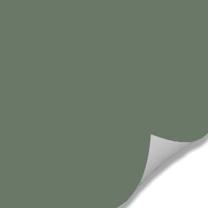 Cardamom Green