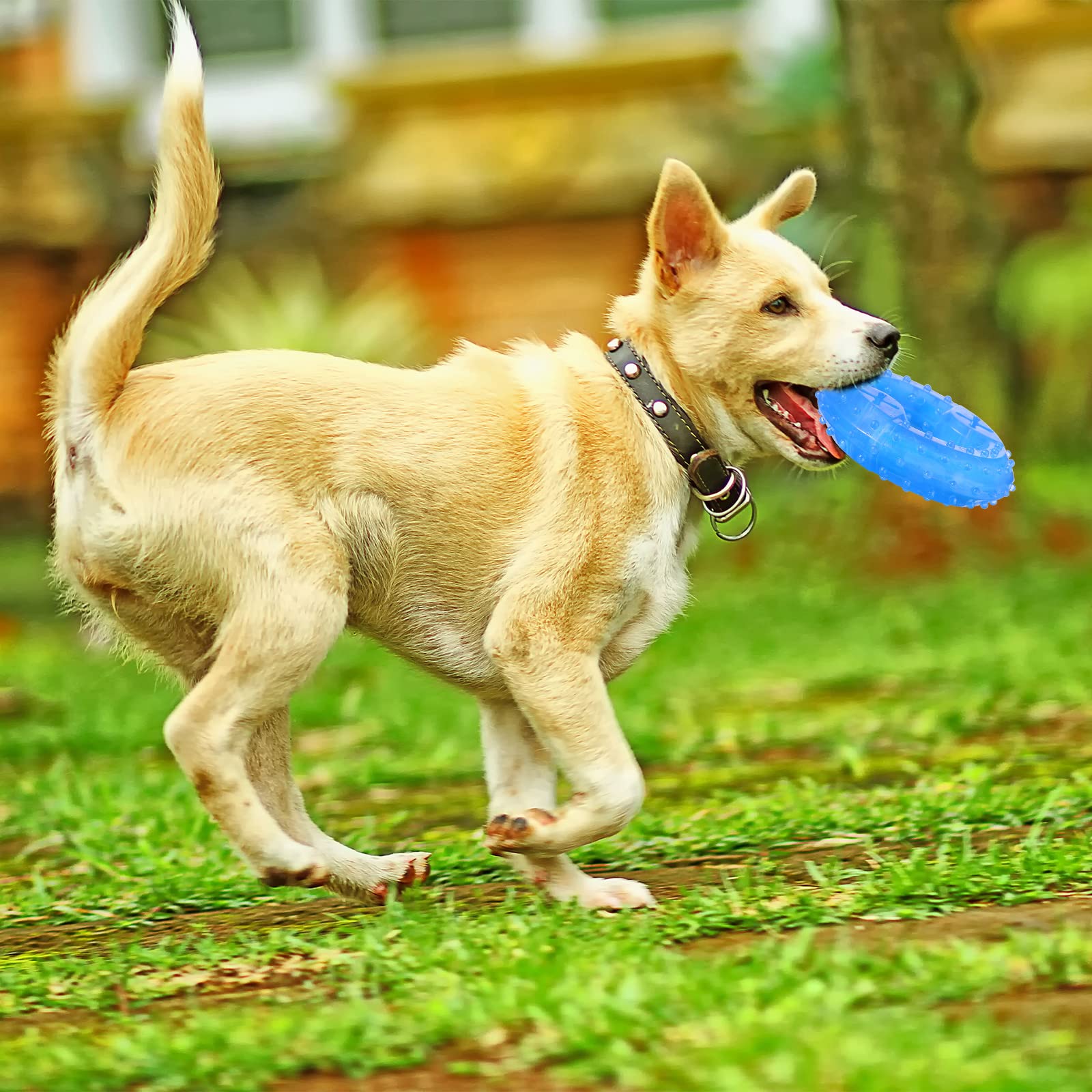 Hungdao 2-Pack Freezable Dog Chew Toys for Teething Puppies - Cooling Teether Ring & 4.72 Inch Chew Toy for Small & Medium Dogs - Soothe Dental Discomfort, Perfect for Hot Weather & Playtime Fetch Games