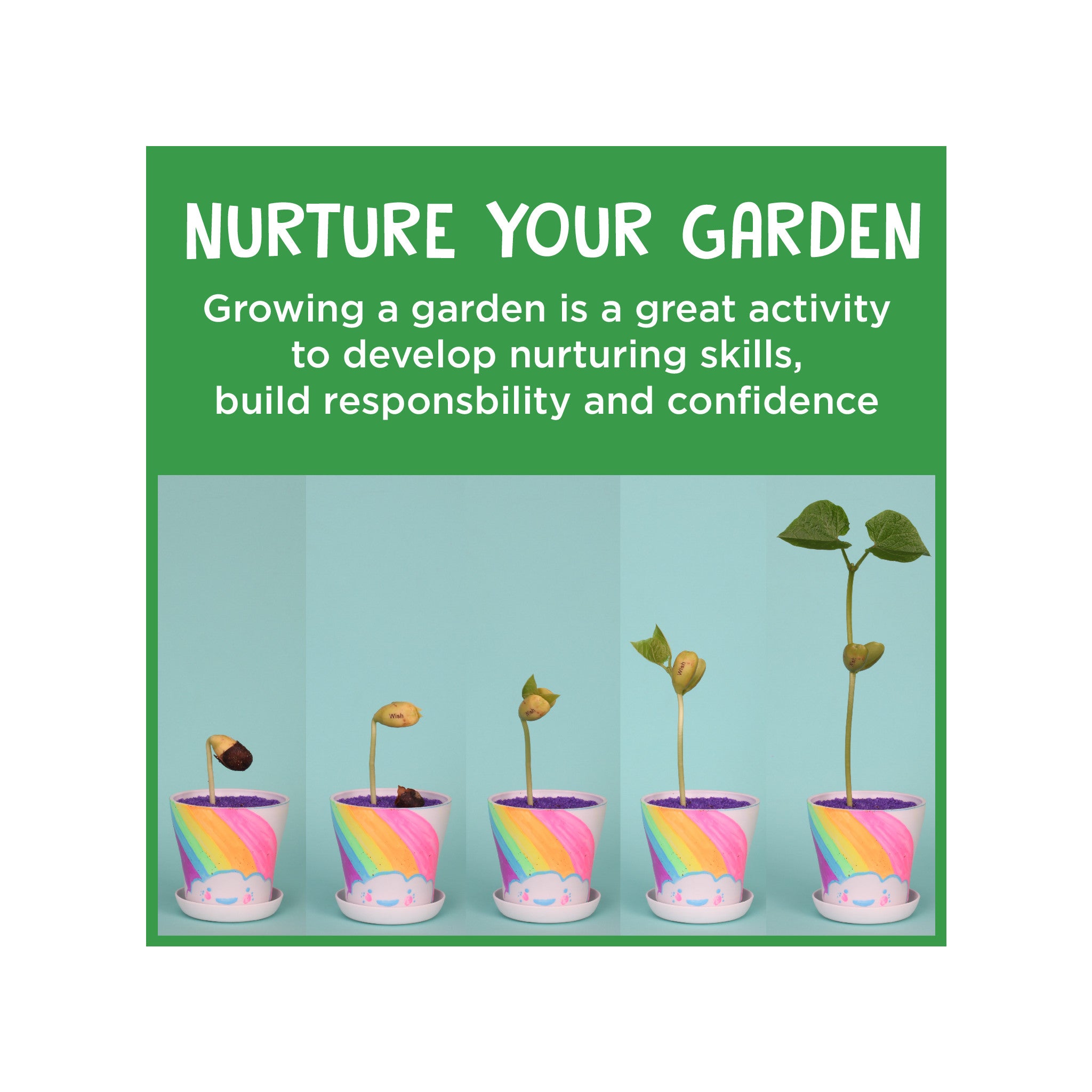Magic Bean Garden Kit - Grow Your Own Magical Plants at Home | Perfect for Kids, Classroom Science Projects & Indoor Gardening Fun #6224000