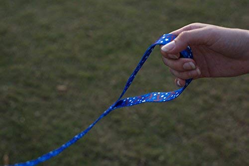 **EcoBark Reflective Dog Leash - Soft Padded Handle, Heavy Duty Training Leash for Small, Medium & Large Dogs - Durable & Comfortable for Walking, Running & Outdoor Adventures (Nautical Blue)**