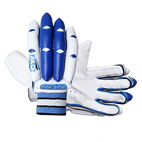 **CW Academy Cricket Training Set for Kids Ages 5-7 - Complete Cricket Kit with Bat, Ball, Stumps & Accessories - Perfect for Backyard Practice, School Sports & Junior Leagues**