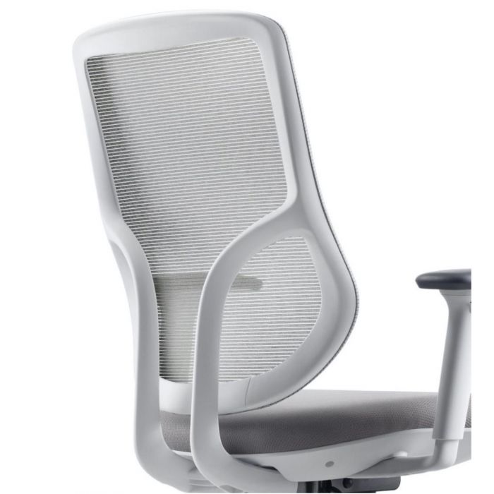 Ergonomic Tango Task Chair by FRIANT - Adjustable Office Chair with Lumbar Support - Perfect for Home Office, Gaming & Workspace Comfort