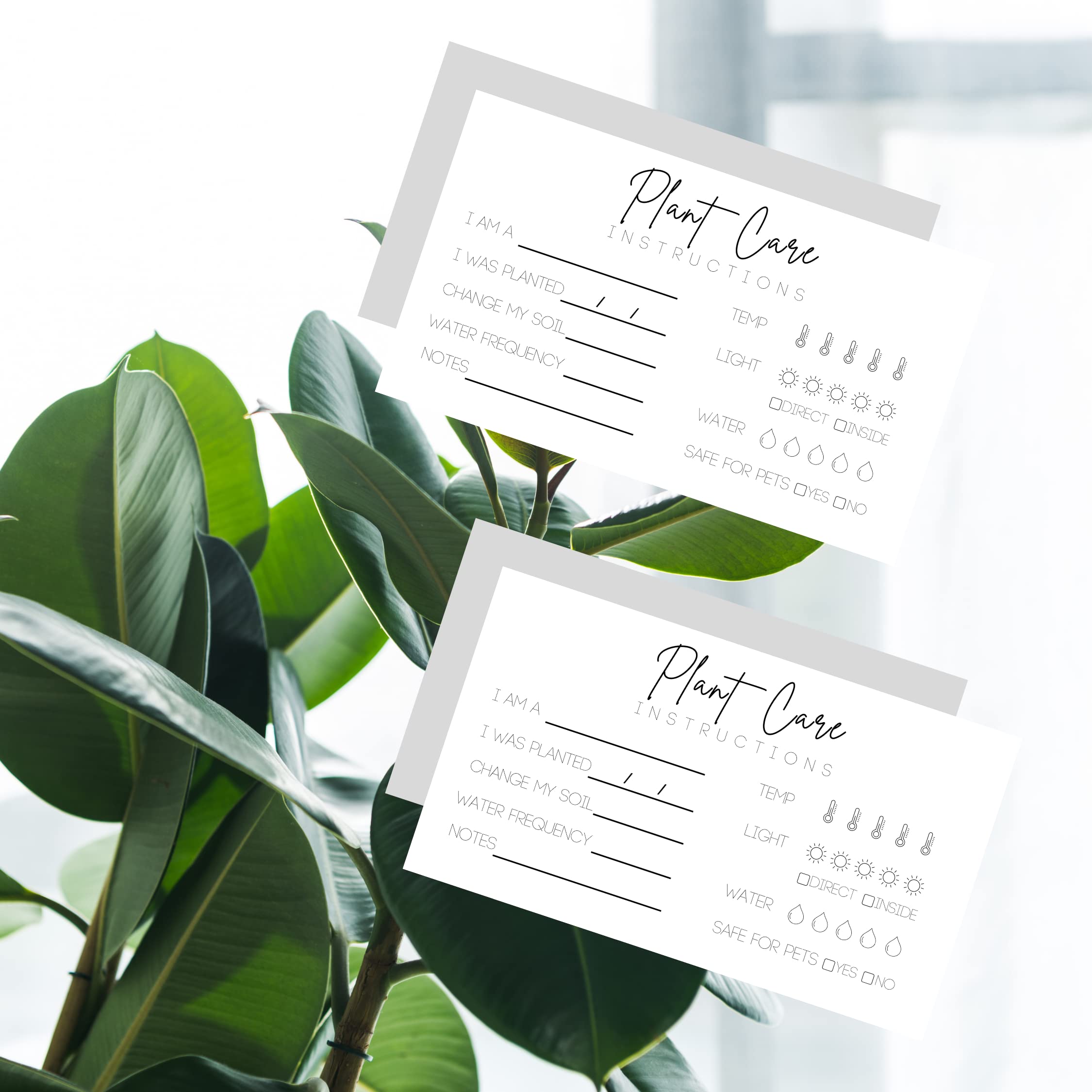 Plant Care Cards - 2