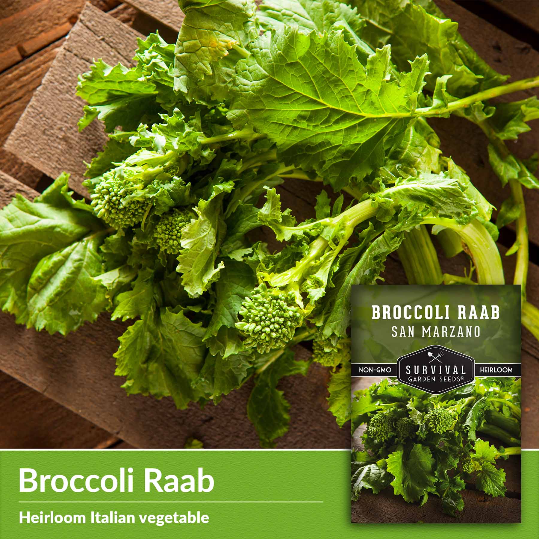 San Marzano Broccoli Raab Seeds - Non-GMO Heirloom Rapini Seeds for Planting | Grow Nutritious Italian Greens in Your Garden | Perfect for Salads, Sauteing & Italian Recipes