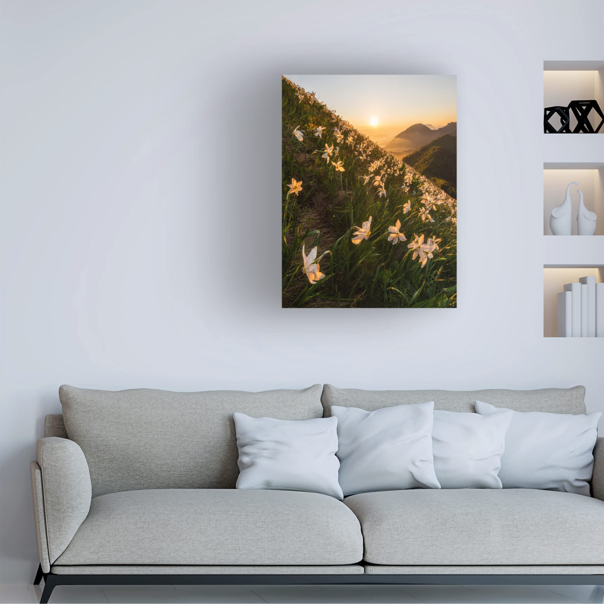 Trademark Fine Art 'Daffodils' by Ales Krivec - Stretched Canvas Wall Art for Living Room, Bedroom & Office Decor