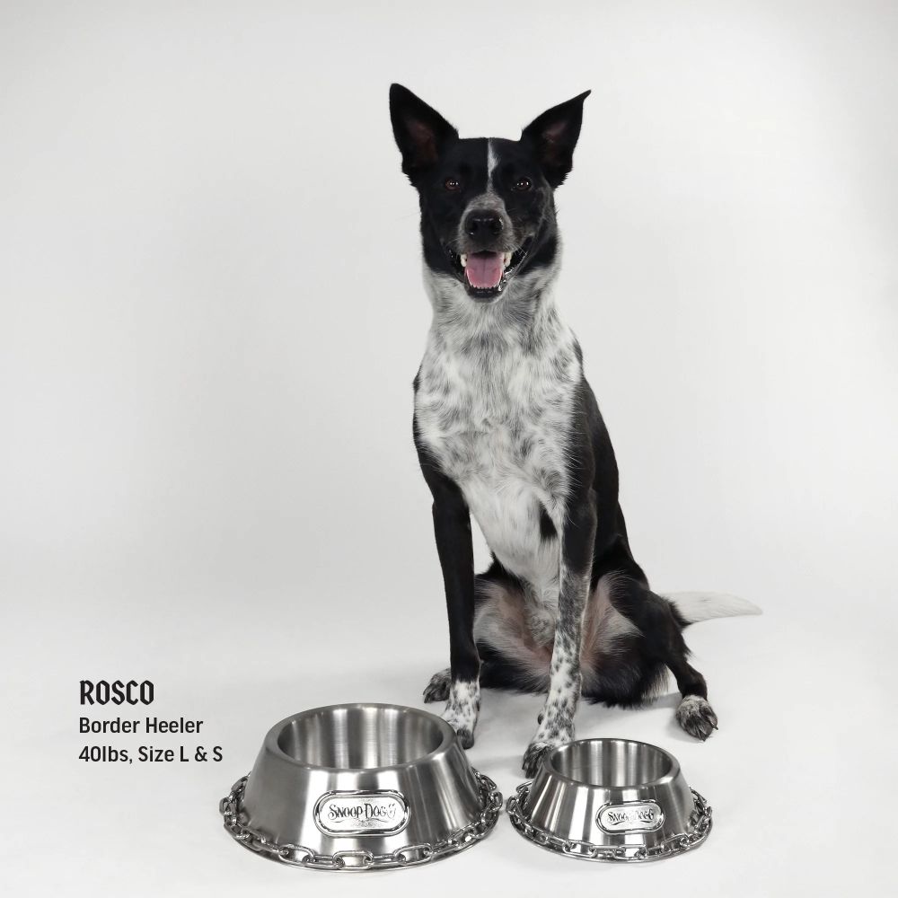 Premium Stainless Steel Pet Bowl with Non-Slip Base - Durable Dog & Cat Food Water Dish for Indoor/Outdoor Use - Perfect for Mealtime, Travel, and Outdoor Adventures
