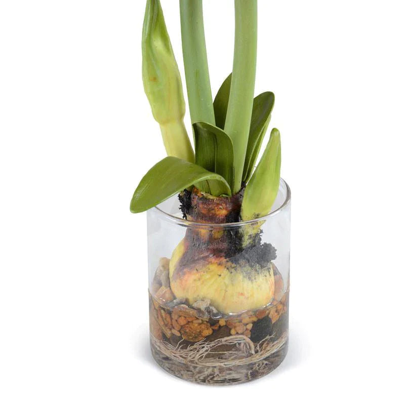 Beautiful Red Amaryllis Flower Arrangement - Perfect for Home Decor, Wedding Centerpieces & Holiday Gifts