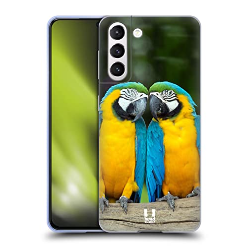 Colourful Macaw Parrot Couple